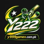 Y222 Game