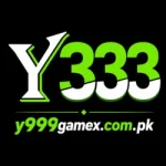 Y333 Game