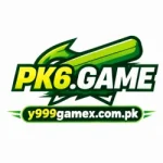 PK6 Game
